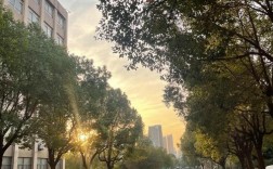 權(quán)威招生信息 | 安徽工貿(mào)職業(yè)學(xué)校2025年"3+2"五年制高職分段培養(yǎng)計(jì)劃