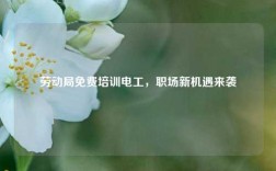 勞動(dòng)局免費(fèi)培訓(xùn)電工，職場(chǎng)新機(jī)遇來(lái)襲