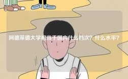 阿德萊德大學(xué)相當(dāng)于國內(nèi)什么檔次？什么水平？