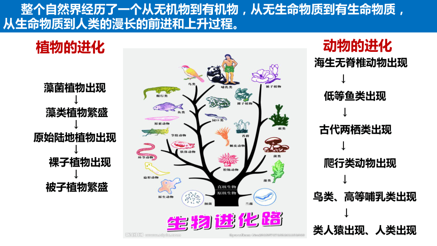 世界是可以被認(rèn)識(shí)的認(rèn)識(shí)是什么過程-圖1