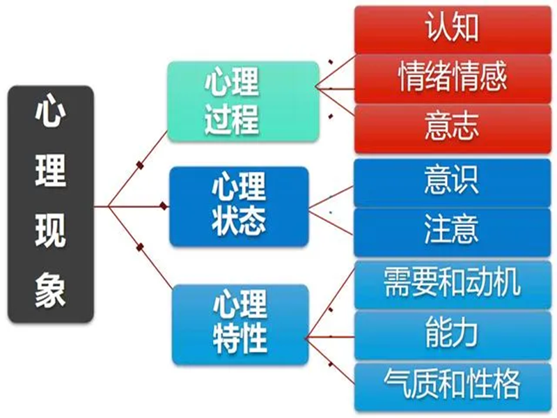2025年中心協心理咨詢師怎么報名？-圖3