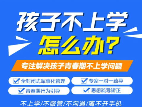 湖北武漢紐特心理-專注改善青少年網癮/叛逆、不上學-圖2