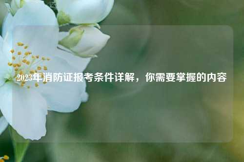2023年消防證報(bào)考條件詳解，你需要掌握的內(nèi)容-圖1
