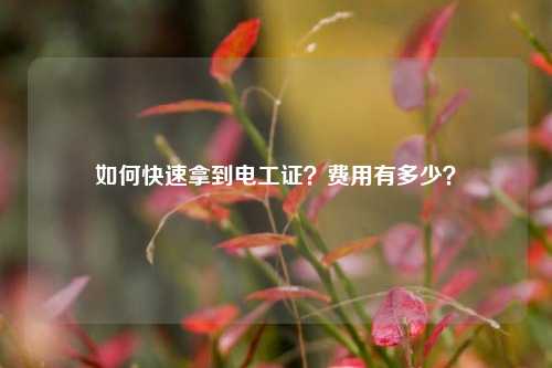 如何快速拿到電工證？費(fèi)用有多少？-圖1